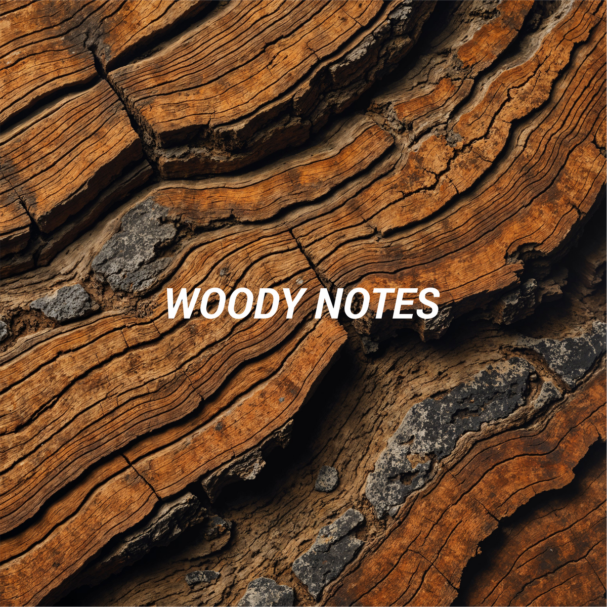 WOODY NOTES
